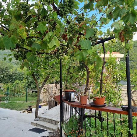 Guest House Duletic Будва Екстериор снимка